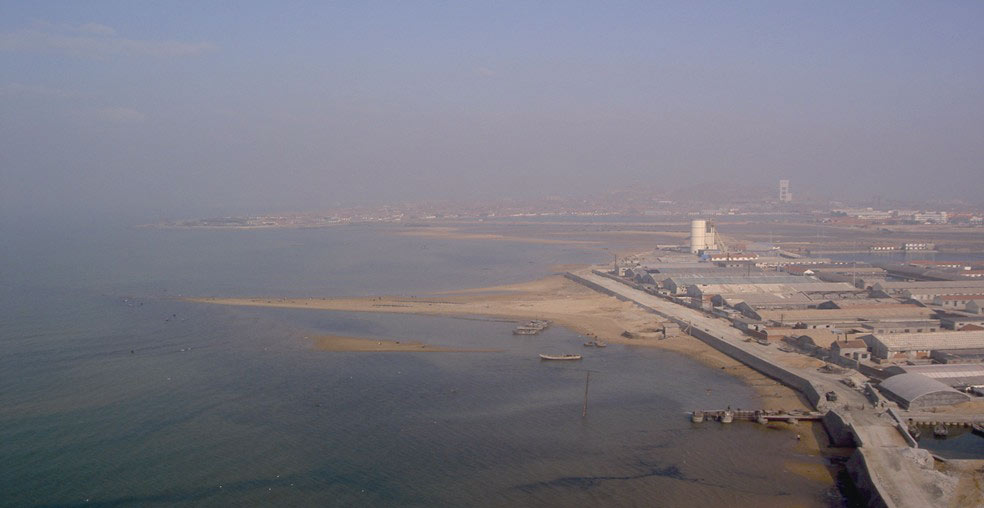 W020241121368828404946