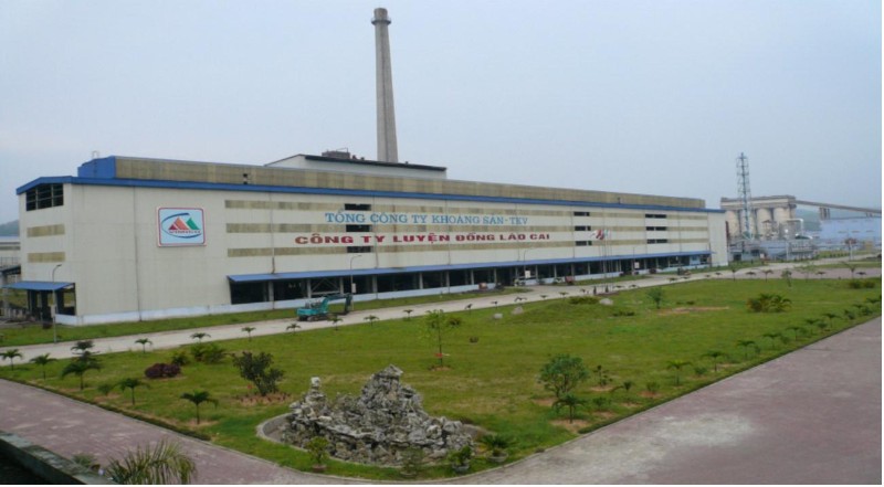 W020241119546161902077