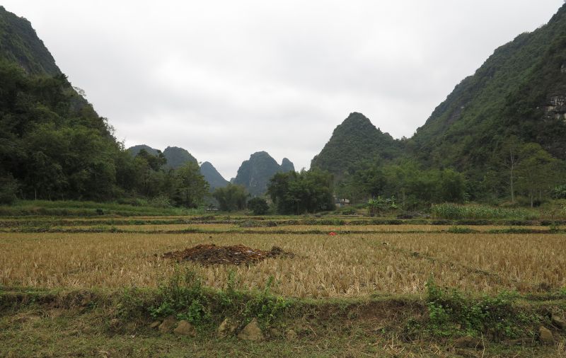 W020241119527184832655