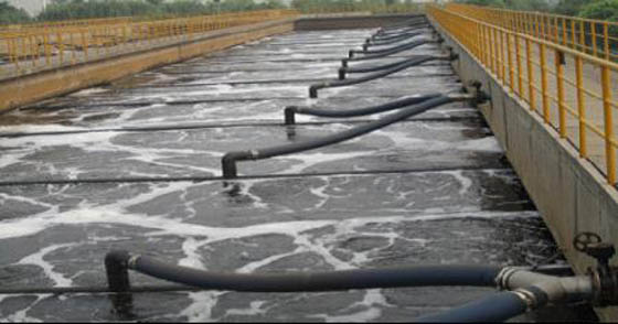 W020241119527684942767