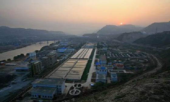 W020241119527685299295