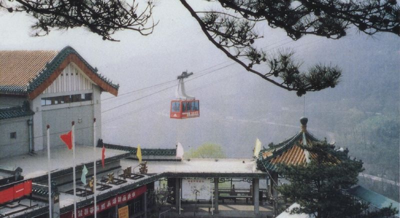 W020241119528337185072