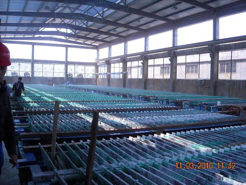 W020241119525555745262