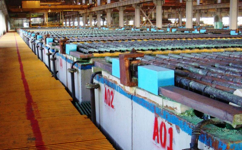 W020241119525555795252